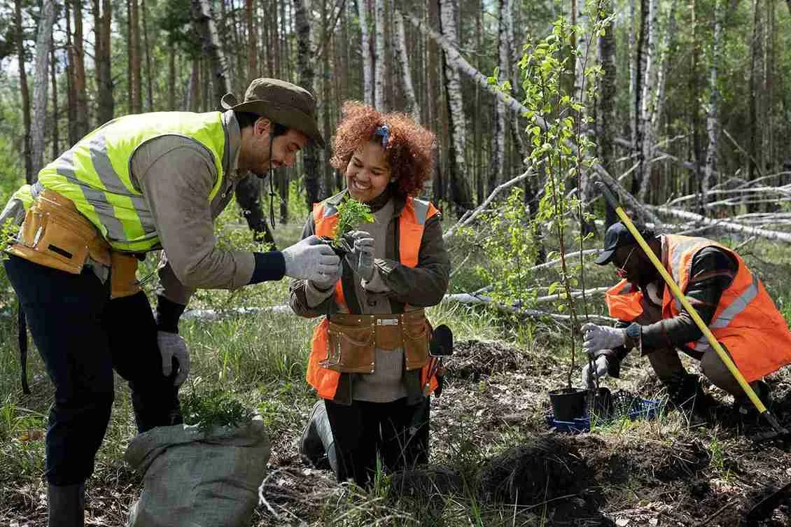 TRAINING TATA KELOLA TAMBANG & ETIKA LINGKUNGAN